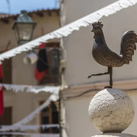 Cal Perdiu Vell Willa *